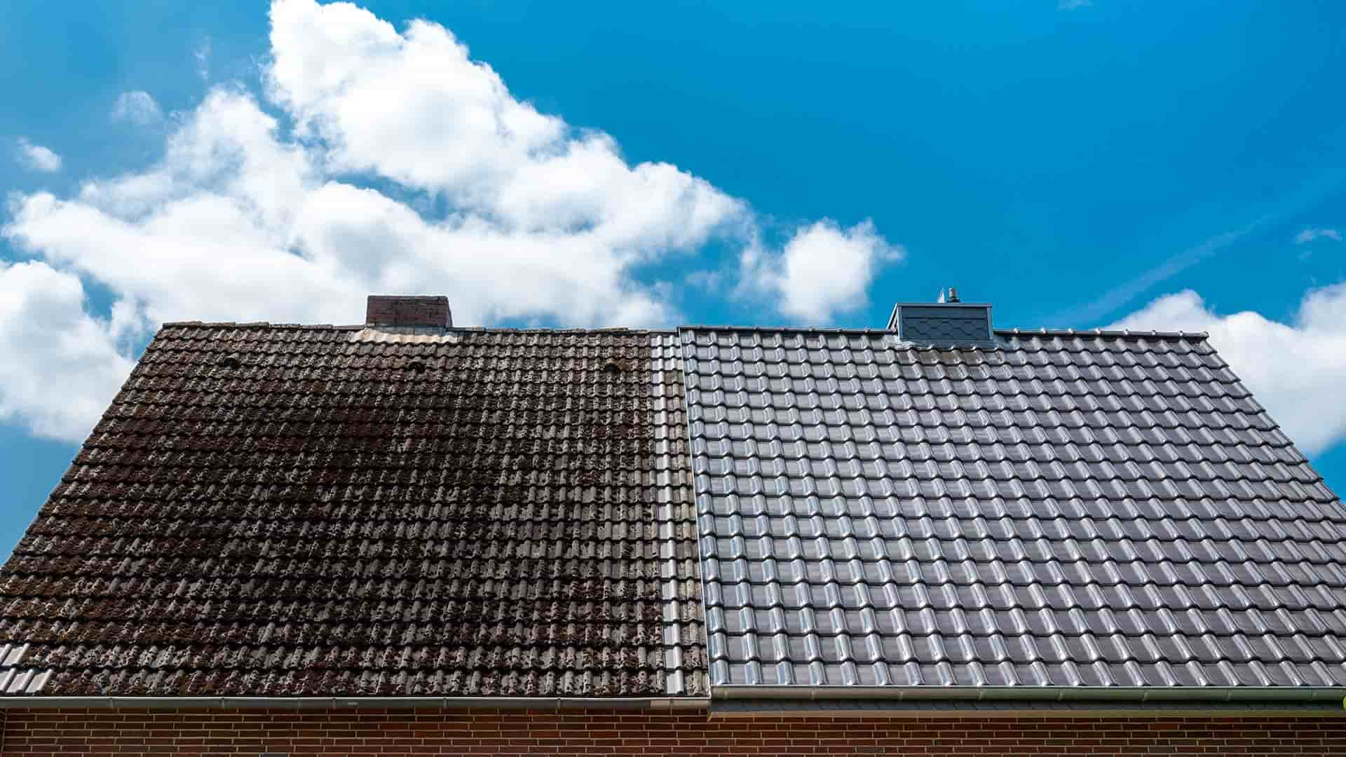 Roof Cleaning